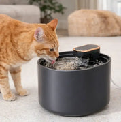 Fontaine à eau pour chat silencieuse 3L – LED nuit, double écoulement