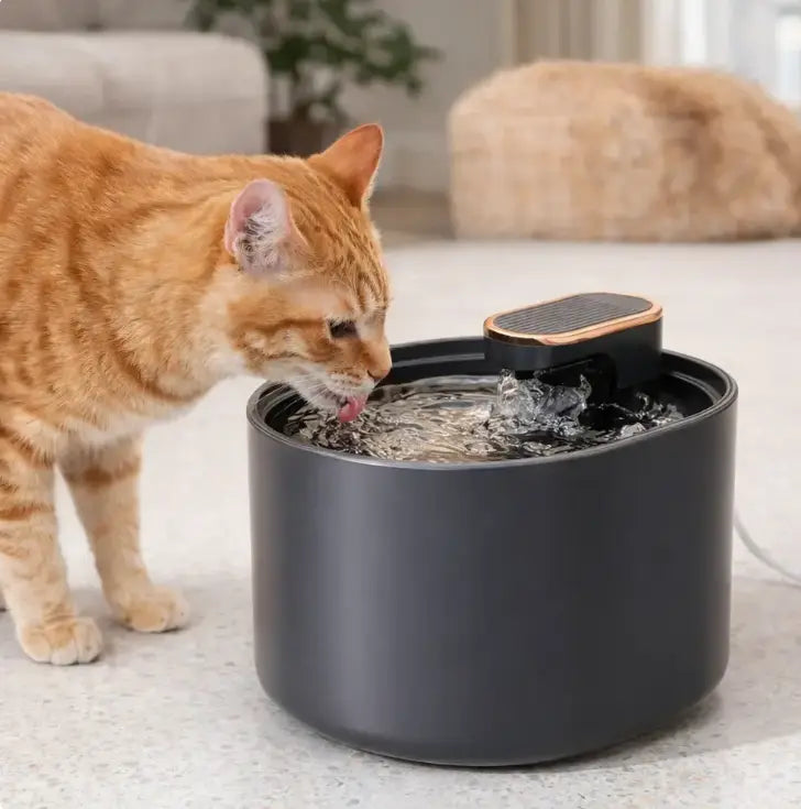 Fontaine_a_eau8.webp