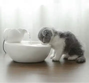 Fontaine à eau en céramique pour animaux