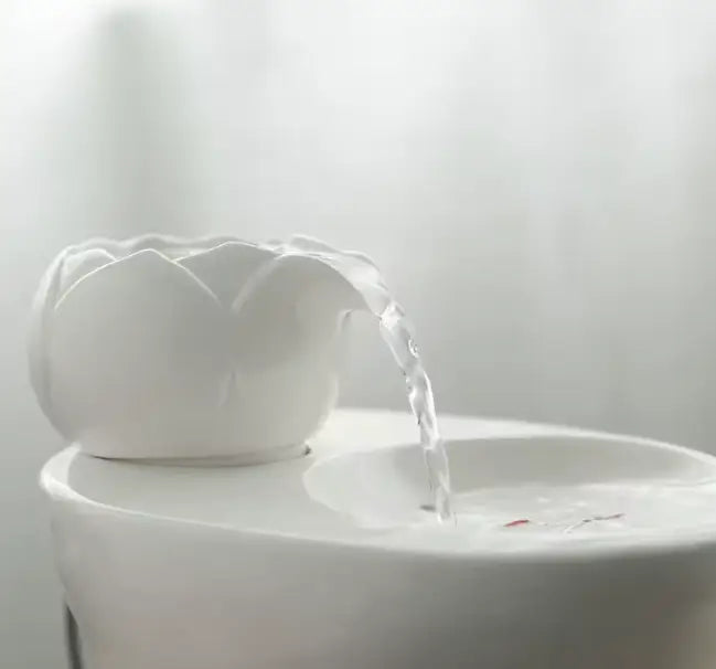 Fontaine_a_eau_en_ceramique_pour_animaux3.webp