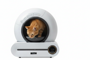 Litière automatique autonettoyante pour chat Connectée WiFi (iOS/Android)