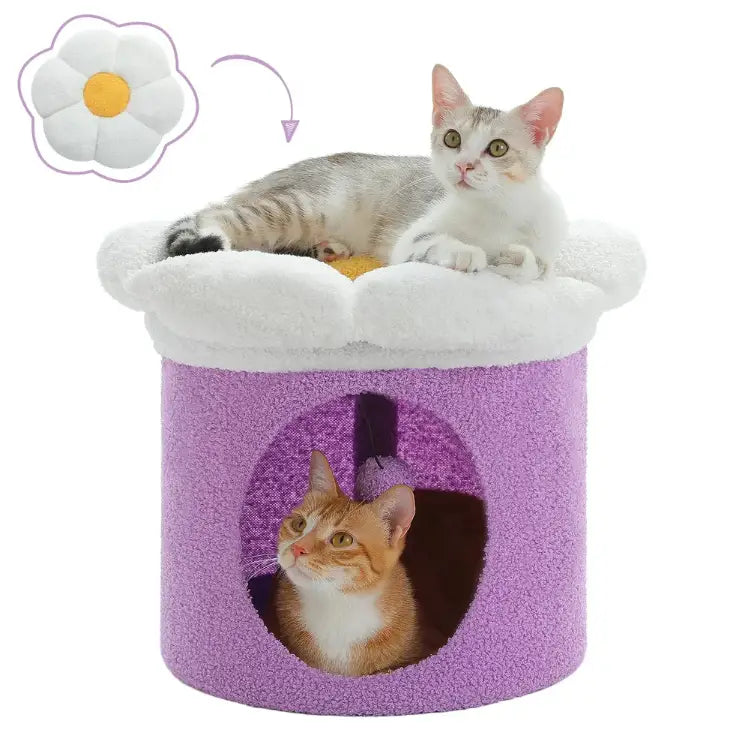 Deux chats utilisant l’arbre à chat Luna