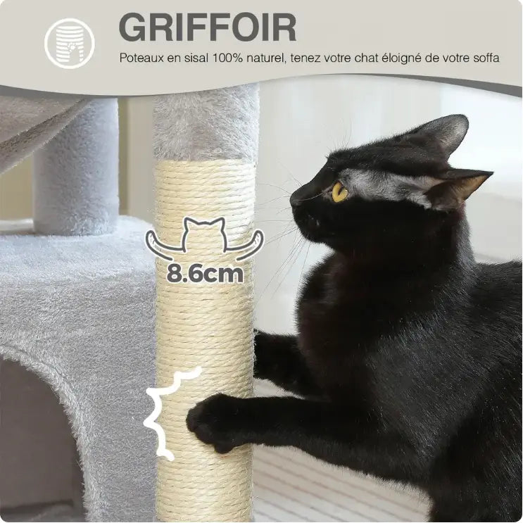 Chat utilisant l’arbre à chat Olio