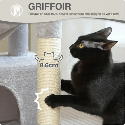 Chat utilisant l’arbre à chat Olio