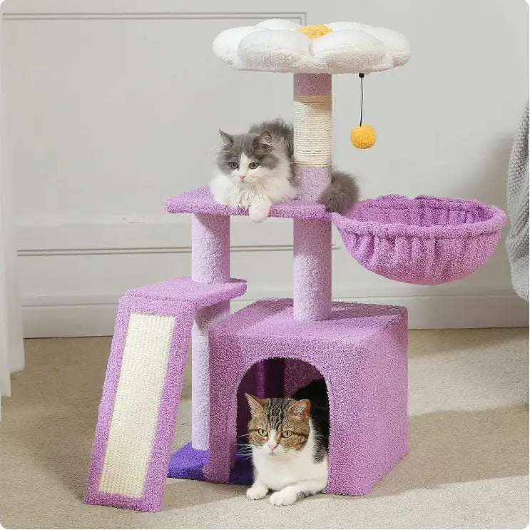 Chat installé sur l’arbre à chat Pongo