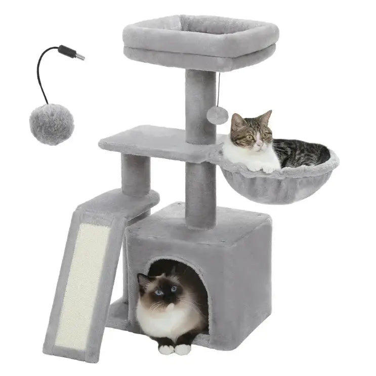 Chat sur le perchoir de l’arbre à chat Pongo