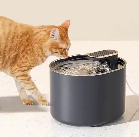 Fontaine à eau pour chat silencieuse 3L – LED nuit, double écoulement