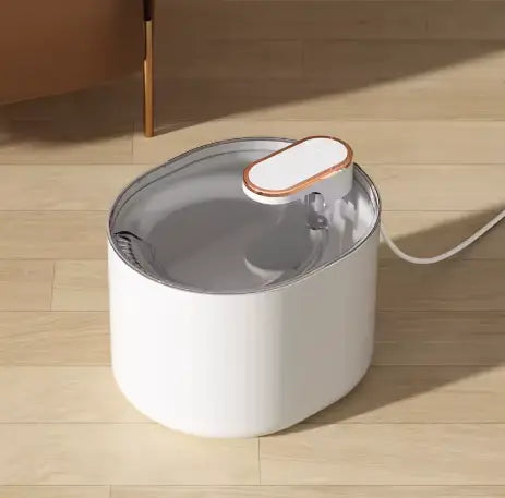 fontaine_eau6.webp